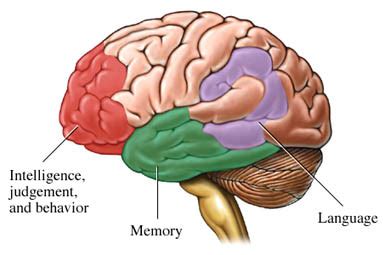 Staying healthy during the pandemic. Alzheimer's Disease Information | online healthcare services