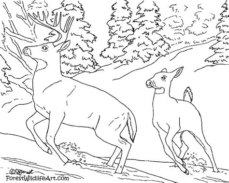You can use our amazing online tool to color and edit the following wild animals coloring pages printable. Wildlife coloring pages to download and print for free