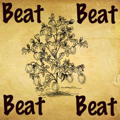 The figurative meaning of the odd phrase 'beat around the bush' or, as it is usually expressed in the uk, 'beat about the bush', evolved from the earlier literal meaning. Beat Around The Bush | What's The Saying Answers | Whats ...