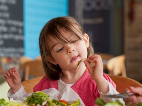 Peneliti mencatat pola makan mereka selama 24 jam dalam enam bulan. Awas! Pastikan Anak Mengunyah Makanan Dengan Betul Atau ...