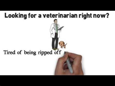 Every month, our lifetime and annual protection membership tm helps 3,000 lost pets safely find their way back home. 24 hour emergency veterinary clinic jacksonville fl - YouTube