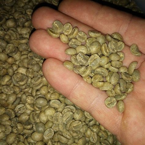 Costa rica next week we'll certainly want to bring home some of the wonderful coffee beans to share with our family and friends. Fresh Dota Costa Rica coffee beans | Costa rica coffee ...