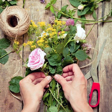 Die blätter sind besonders zart. Geschenke aus dem Garten: Geniale Bastel- und Kochideen