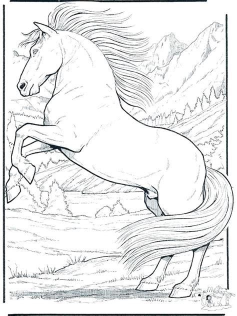 Teach your kid about this grand animal using these 48 free printable coloring pages. Detailed Horse Coloring Pages at GetColorings.com | Free ...