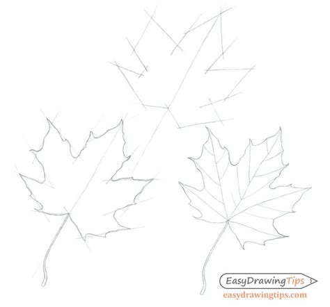 These veins should all start from the same point where the petiole transitions into the midrib. Maple Leaf Drawing #canadianmapleleafdrawing # ...