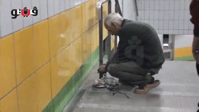 Everyday's the same boring routine, to the library and back home where he lives alone. Cat Gets Stuck Behind A Subway Wall For Five Whole Years ...