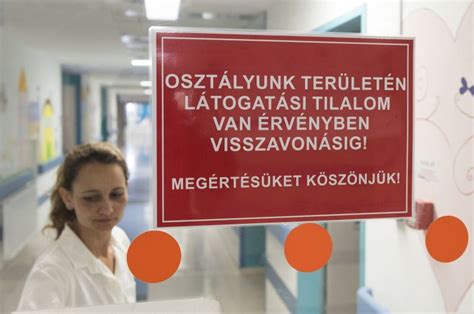 Az ápolók adják a magyar egészségügy lelkét és szívét. Tudta, hogy ma van a magyar ápolók napja? - Propeller