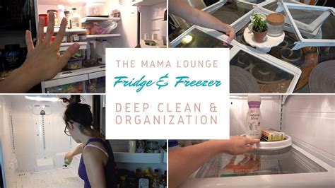 How do you clean dirty money??? EXTREME CLEAN WITH ME 2017 | FRIDGE & FREEZER ORGANIZATION ...