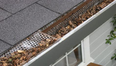 Our teams work out of most major. 5 Important Reasons to Keep Your Gutters Clear ...