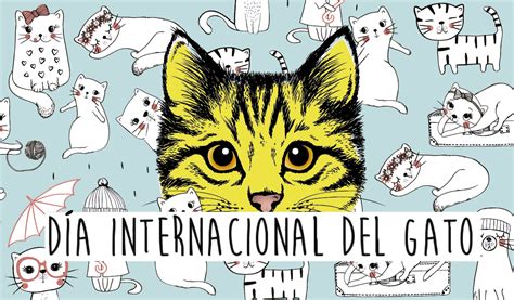 It is a day to raise awareness for cats and learn about ways to help and protect them. Hoy es el día internacional del gato - Ciudad y Poder