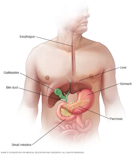 These cancers can press on the duct and cause jaundice while they are. Pancreatic cancer - Symptoms and causes - Mayo Clinic