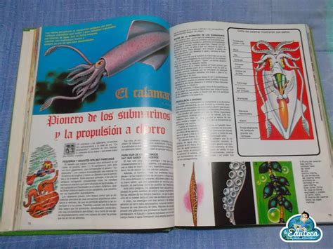 Check spelling or type a new query. TESOROS DE LA EDUCACIÓN | El libro gordo de Petete ~ La ...