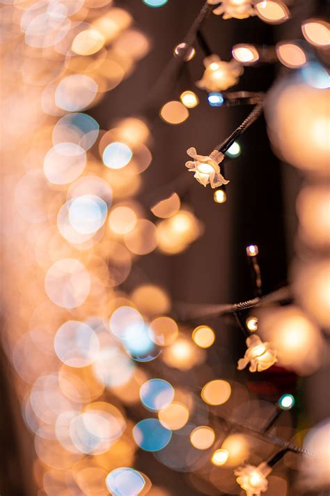 By obi wijaksana posted on may 21, 2021. Bokeh Taiwan - Film Blu Taiwan Bokeh Full Sensor Jpg Gif ...