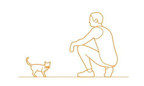 The singapura is a smaller than average, shorthaired cat with noticeably large eyes and ears. Singapura Cat Dimensions & Drawings | Dimensions.Guide