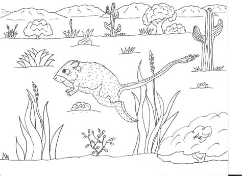 Kangaroo coloring pages for adults. Robin's Great Coloring Pages: Bumblebee Bat and other ...