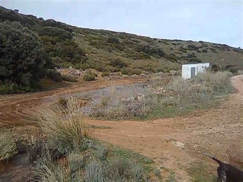 Sep 15, 2021 · el hombre que asesinó en su casa de ciudad real a un presunto ladrón cuenta su versión: Fincas rusticas España | Fincas rusticas Artic