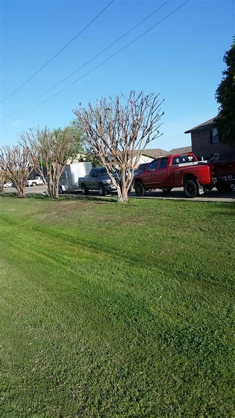 Lawn looking a little tired? We offer lawn services in McKinney, Allen, Plano, Frisco ...