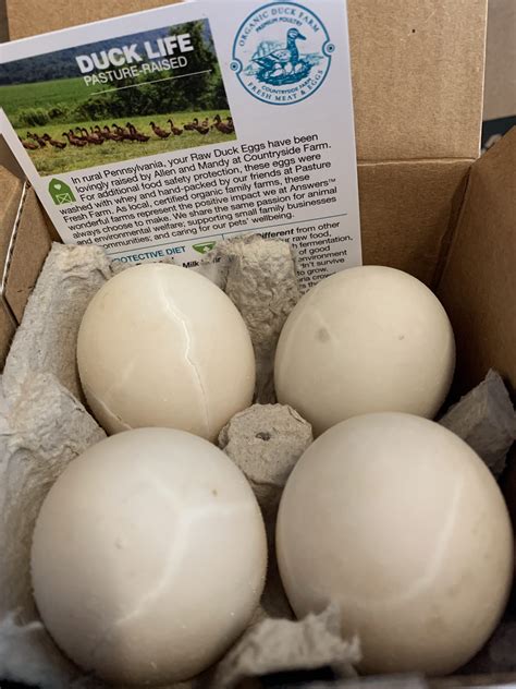 This list answers the questions, what are the biggest cat & dog food companies in the world? and what are the most successful pet food manufacturers? Answers Pet Food, Organic Raw Duck Eggs - Moe's Meats