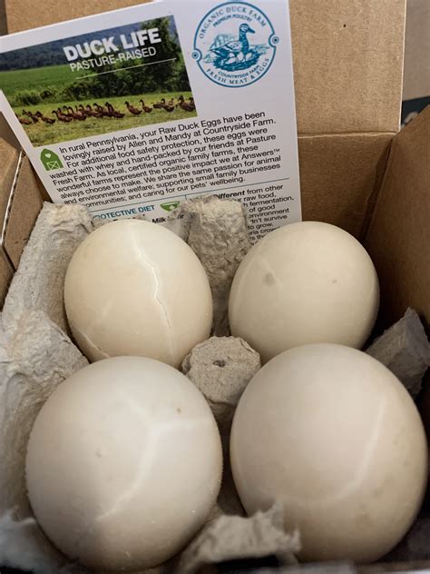 Integrating raw feeding & science. Answers Pet Food, Organic Raw Duck Eggs - Moe's Meats