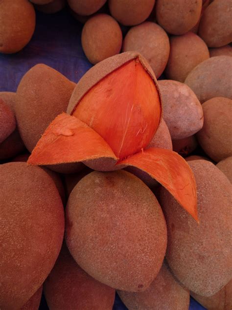 Choose from a curated selection of fruits photos. Mamey, the fruit with the exceptional color and unique ...