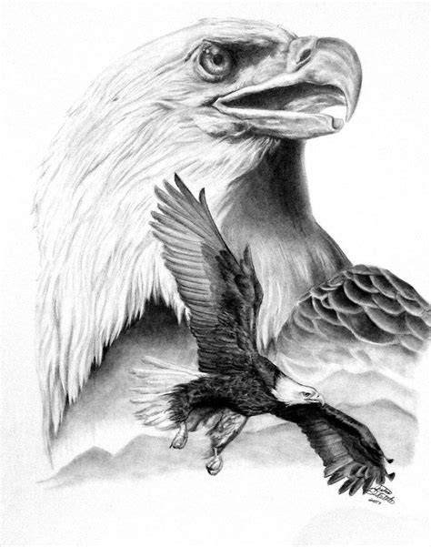 Choose from 50+ animal eagle graphic resources and download in the form of png, eps, ai or psd. proud by freedomsparrow3 traditional art drawings animals 2007 2013 ... | Eagle drawing, Animal ...