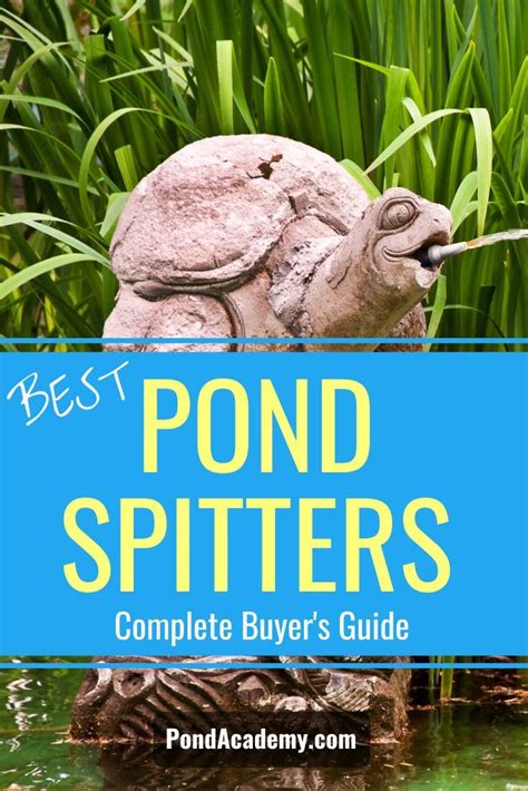 Pond spitters dog pond solar pond pond decorations dog fountain pond aerator pond maintenance pond pumps water movement. Decorative Pond Spitters For A Fun & Unique Pond (Our Best ...