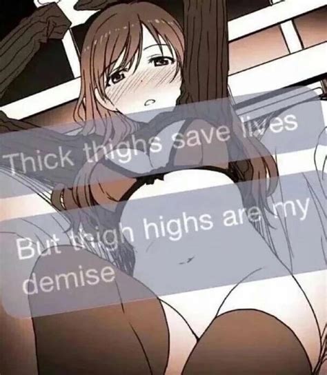 This high quality transparent png images is totally free on pngkit. They are my demise | Thick Thighs Save Lives | Know Your Meme