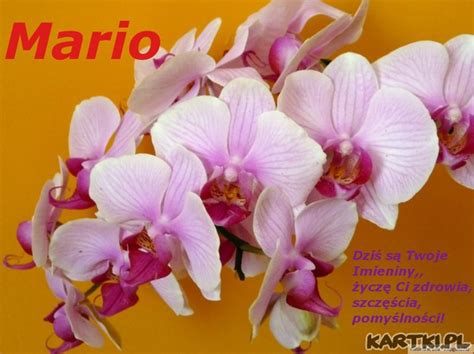 Życzenia dla Marii - KARTKI.pl