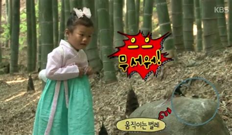 As her little brother my sister, for as long as we've known each other, had always liked to make a habit of embarrassing me just for fun. Daebak Rescues His Scared Sisters From A Bug On "The Return of Superman" | Soompi