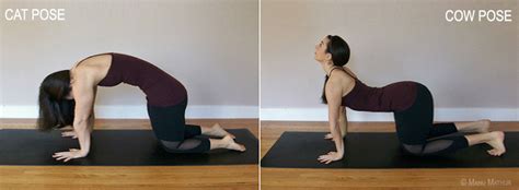 This is the table pose. 5 Best Yoga Poses Curing Back Pain - Must Read Guide