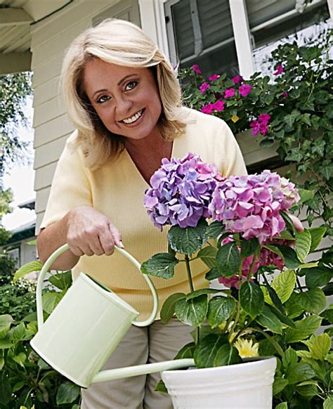 Pflanzenversand gartenpflanzen online kaufen | garten schlüter. Den sommerlichen Garten mit Hortensien gestalten