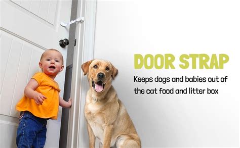 Is your kitty eating cat litter? Door Buddy Adjustable Door Strap and Latch. Easy Way to ...