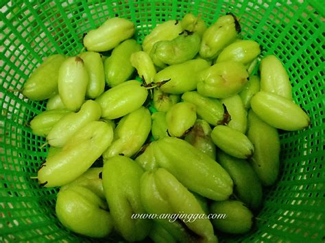 Belimbing wuluh biasa digunakan masyarakat indonesia untuk diolah menjadi sayuran. Sambal gesek belimbing buluh
