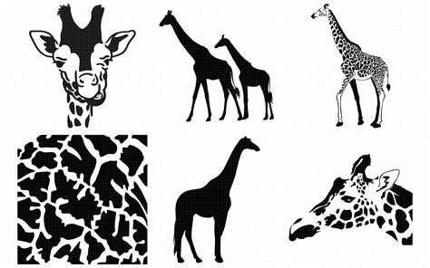 See the presented collection for giraffe svg. giraffe animal print pattern SVG clipart By CrafterOks ...