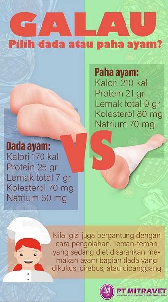 Piring berhenti untuk membawa kesenangan gastronomi. Galau Pilih Dada atau Paha Ayam? - Mitravet