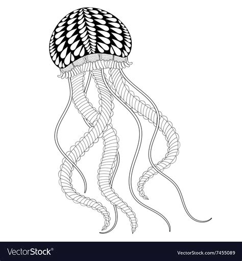 Jellyfish are the terror of the sea. Hand drawn sea Jellyfish for adult coloring pages Vector Image