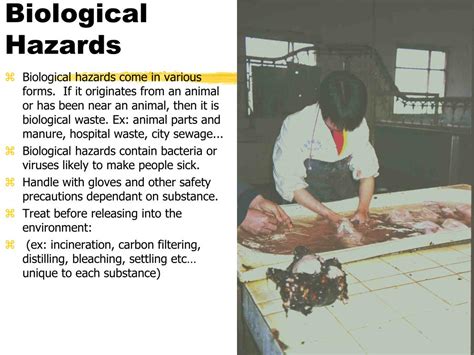 Maybe you would like to learn more about one of these? PPT - Workplace Hazards PowerPoint Presentation, free ...