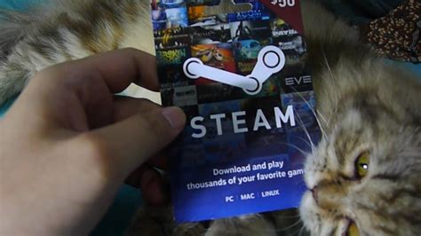 Steam wallet code (malayia) can be used to add balance to steam wallet. CARA ADD FUNDS STEAM dengan steam wallet & credit card ...