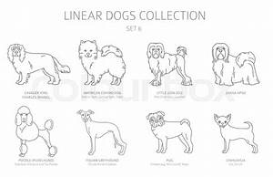 Simple Line Dogs Collection Isolated Stock Vector Colourbox