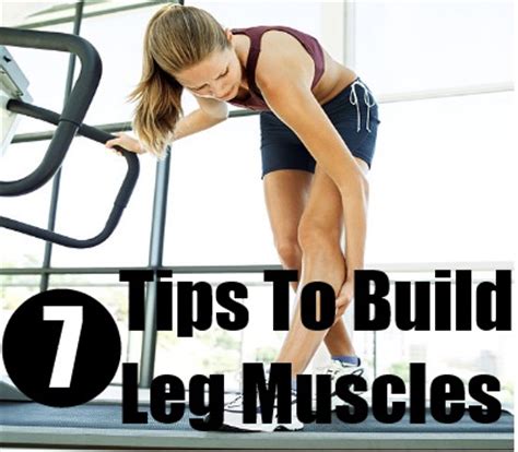 The main leg muscles on which you will focus on for the best leg leg workout for running to build strength and endurance. Best foods to burn fat and gain muscle, building leg muscles