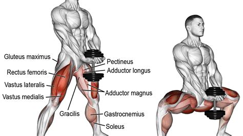 The kettlebell sumo squat is identical to the dumbbell sumo squat. Pin on j