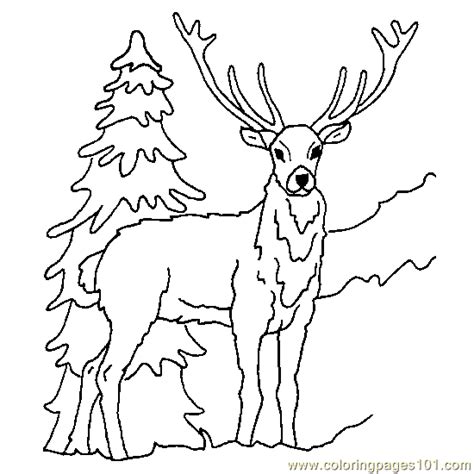 Join buck on a mission to share god's love this fall in the first. Deer ice Coloring Page for Kids - Free Deer Printable ...