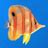 Fish (Windows XP) - Windows Wallpaper Wiki