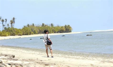 Cara melacak nomor telepon yang menghubungi kamu ternyata gampang banget! Nomor Telepon Pantai Ujung Genteng - PANTAI INDAH