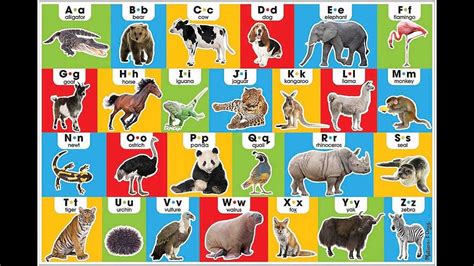 Namen buchstabieren nach deutscher buchstabiertafel (din 5009). A to Z Alphabet animals name. - YouTube