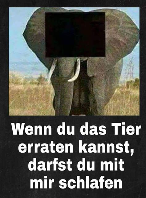 Lustige anmachsprüche erleichtern das gegenseitige kennenlernen, denn humor verbindet bekanntlich! Pin von Carole E auf Humor und Sprüche | Witzige bilder ...