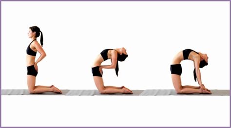 The camel pose can be done whether a beginner or an advanced yogi. 8 Camel Yoga Pose - Work Out Picture Media - Work Out ...