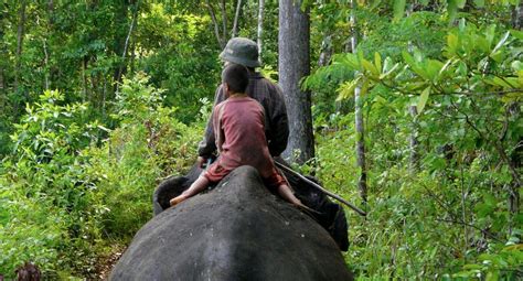 Amanda haydee mondol cuellar (born january 10, 1965 in bogotá) is a colombian sport shooter. Mondol Kiri Province, Cambodia - Heroes Of Adventure