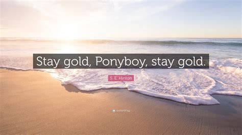 Famous tracey gold quote about stay. S. E. Hinton Quote: "Stay gold, Ponyboy, stay gold." (12 ...