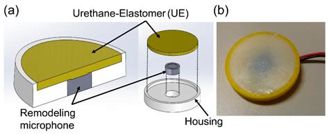 The system of fast food known as mcdonalds has its. Sensors | Free Full-Text | Validation of a Body-Conducted ...